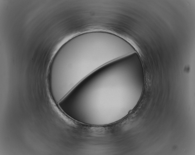 X0000091001142200708021219