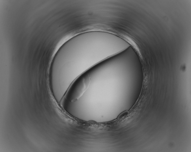 X0000091001146200708021219
