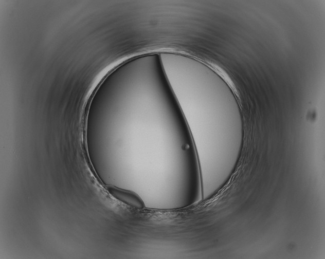 X0000091001148200708021219