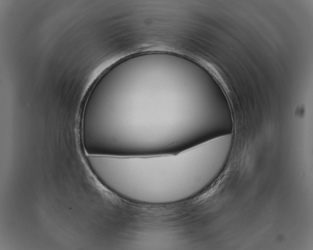 X0000091001149200708021219