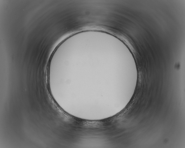 X0000091001150200708021219