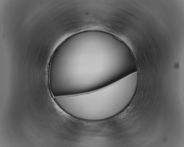 X0000091001151200708021219