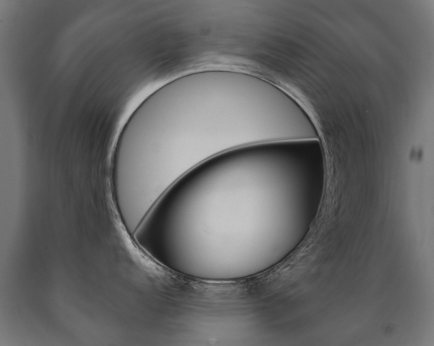 X0000091001152200708021219