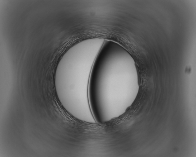 X0000091001153200708021219