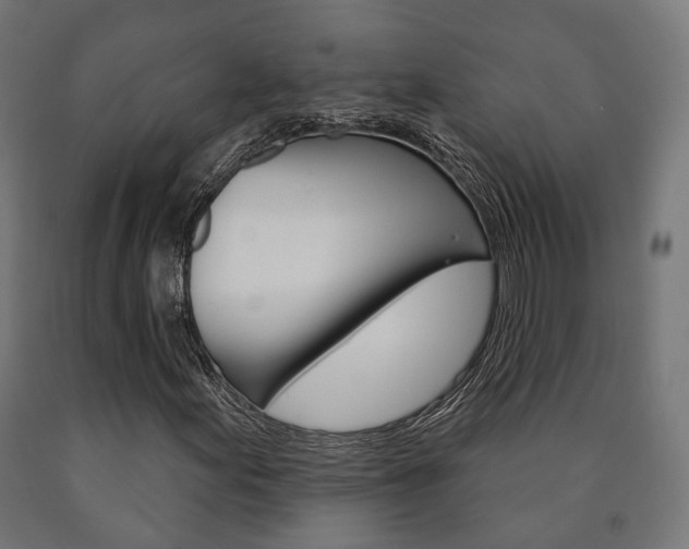 X0000091001155200708021219