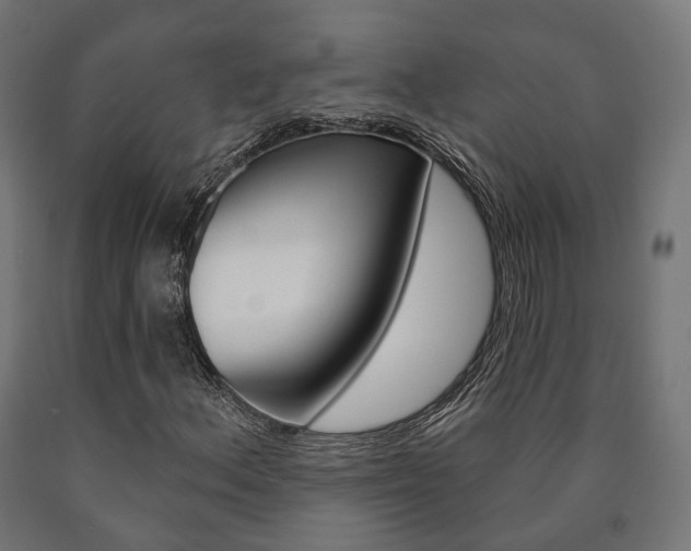 X0000091001156200708021219