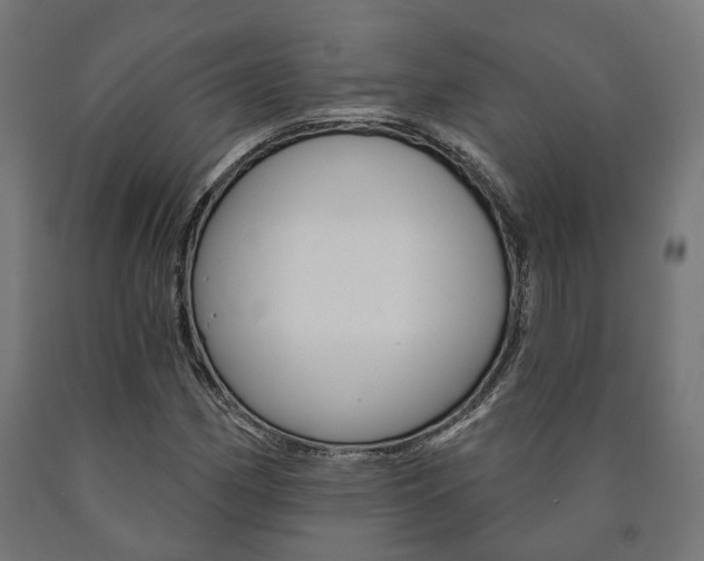 X0000091001162200708021219
