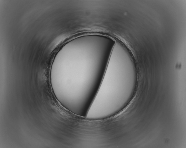 X0000091001163200708021219