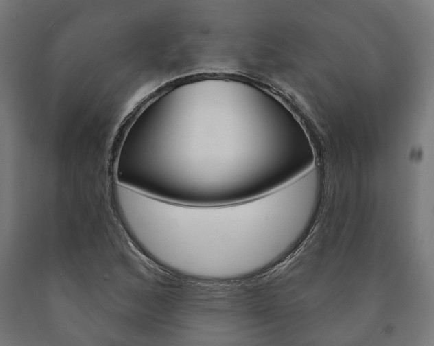 X0000091001168200708021218