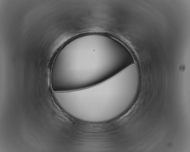 X0000091001171200708021218