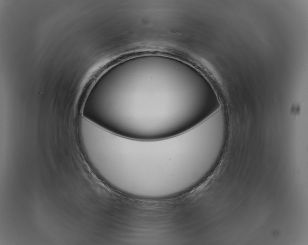 X0000091001172200708021218
