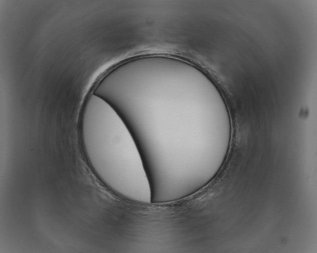 X0000091001174200708021218