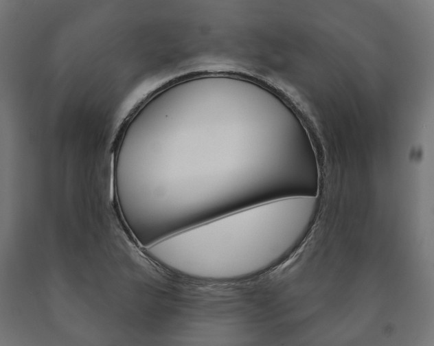 X0000091001175200708021218