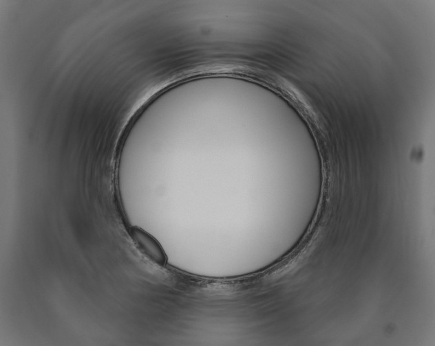 X0000091001178200708021218