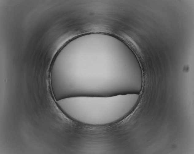 X0000091001182200708021218