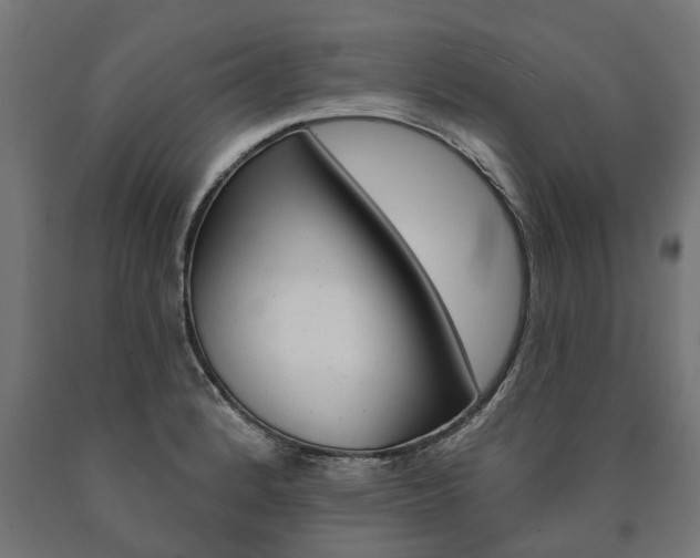 X0000091001184200708021218