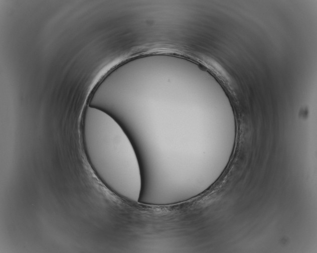 X0000091001190200708021218