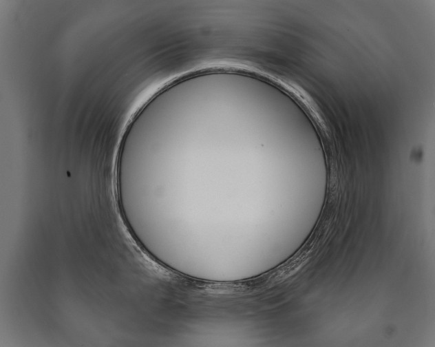X0000091001199200708021218