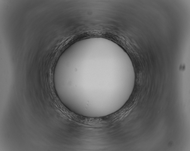 X0000091001201200708021217