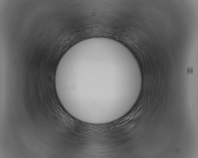 X0000091001202200708021217