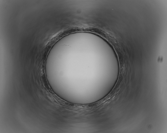 X0000091001205200708021217