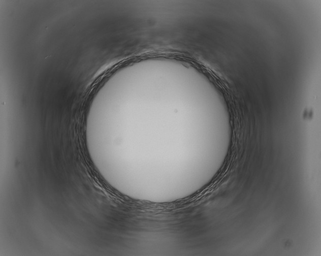 X0000091001206200708021217