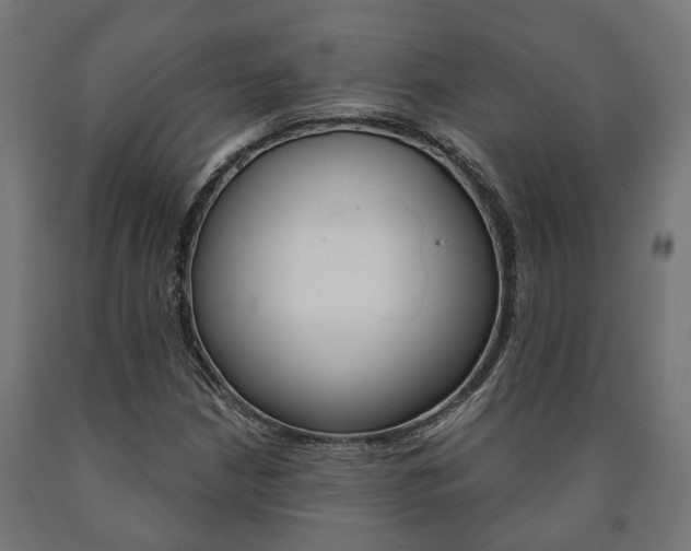 X0000091001210200708021218