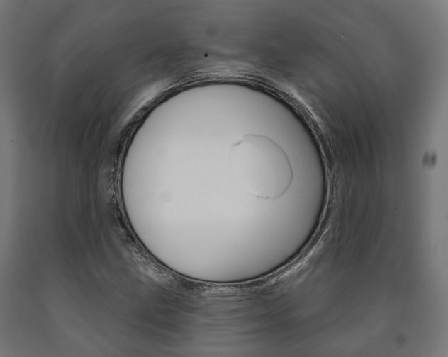 X0000091001211200708021218