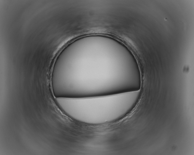 X0000091001212200708021218