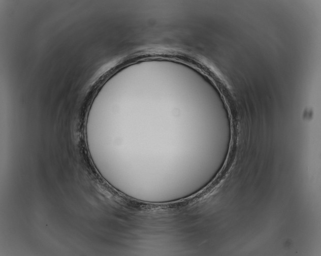 X0000091001213200708021218