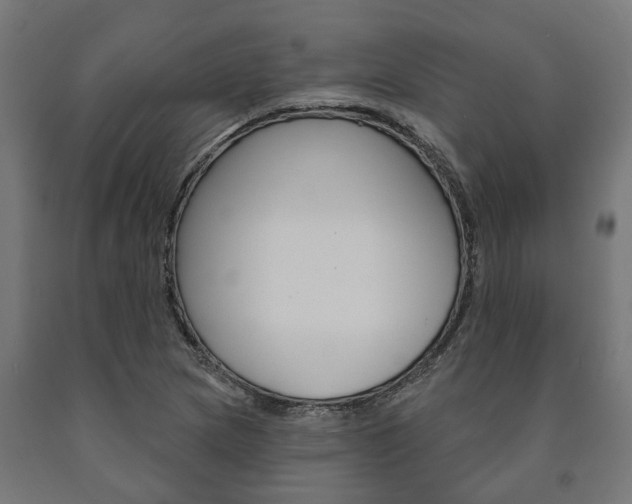 X0000091001217200708021218