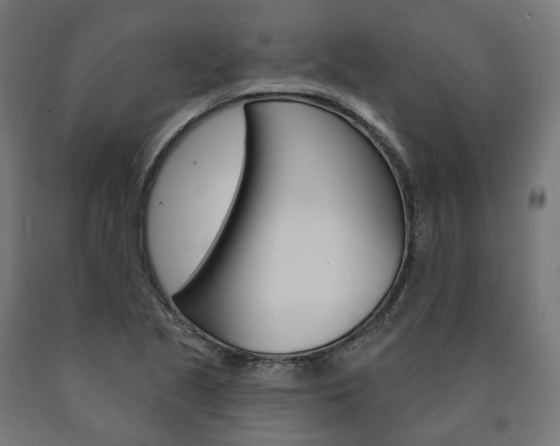 X0000091001221200708021218