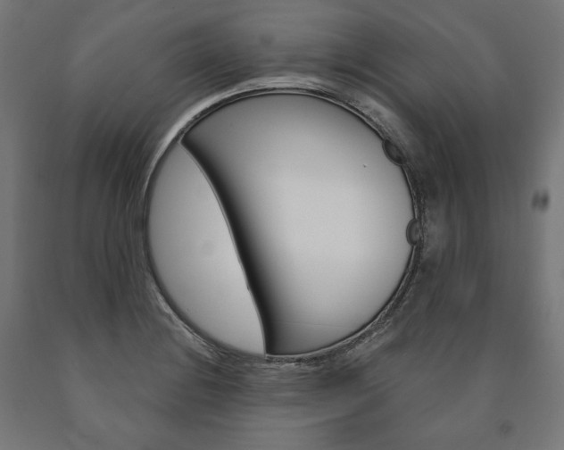 X0000091001228200708021218