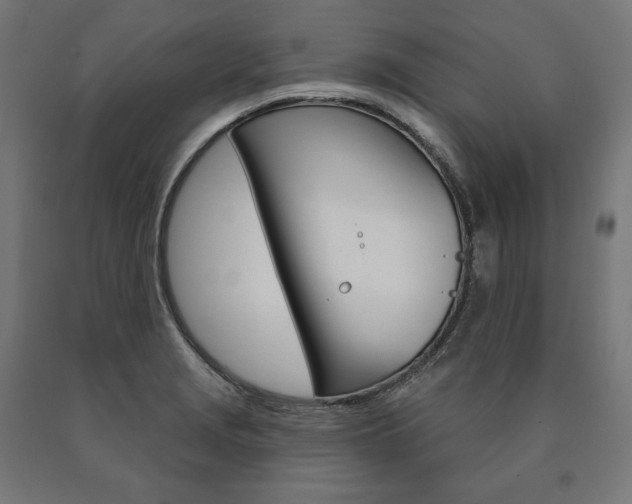 X0000091001229200708021218