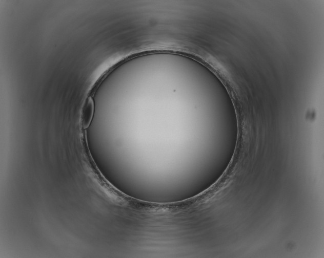 X0000091001230200708021218