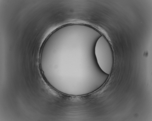 X0000091001231200708021218