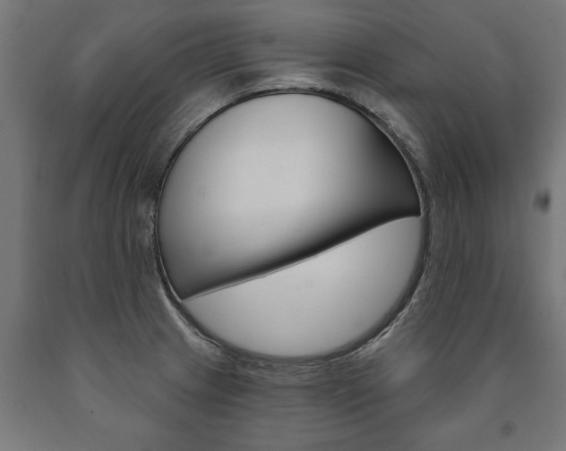 X0000091001233200708021218