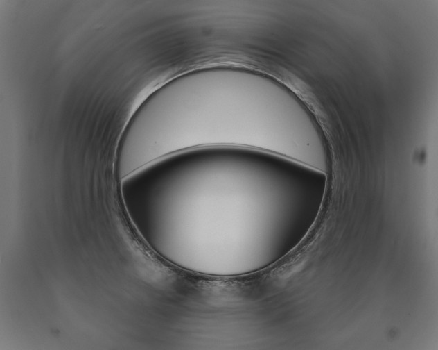 X0000091001234200708021218