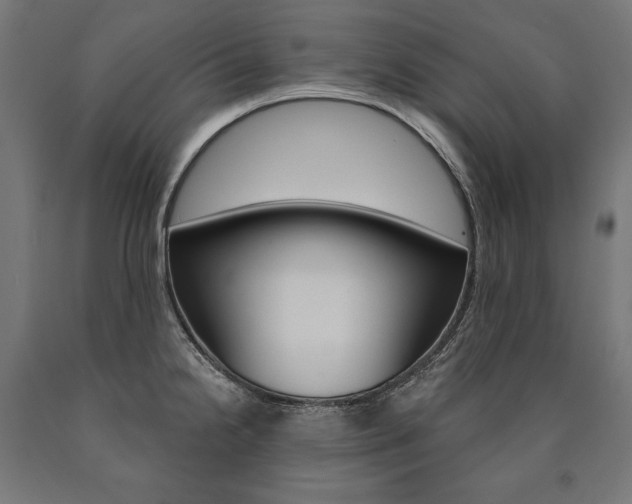 X0000091001238200708021218