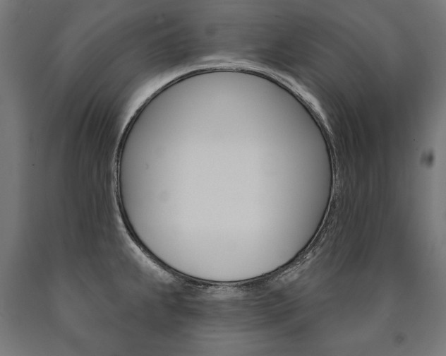 X0000091001239200708021218