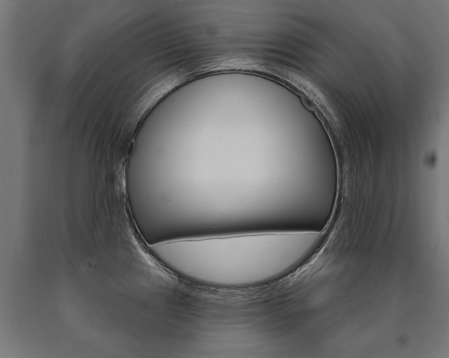 X0000091001241200708021218