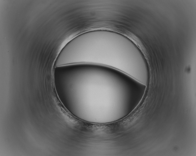 X0000091001242200708021218