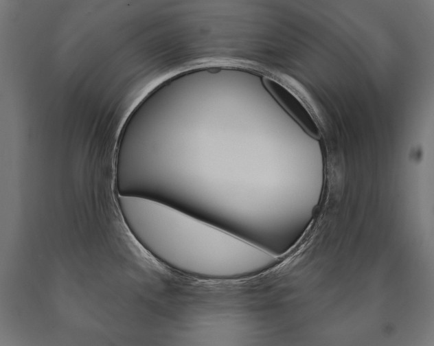 X0000091001244200708021218