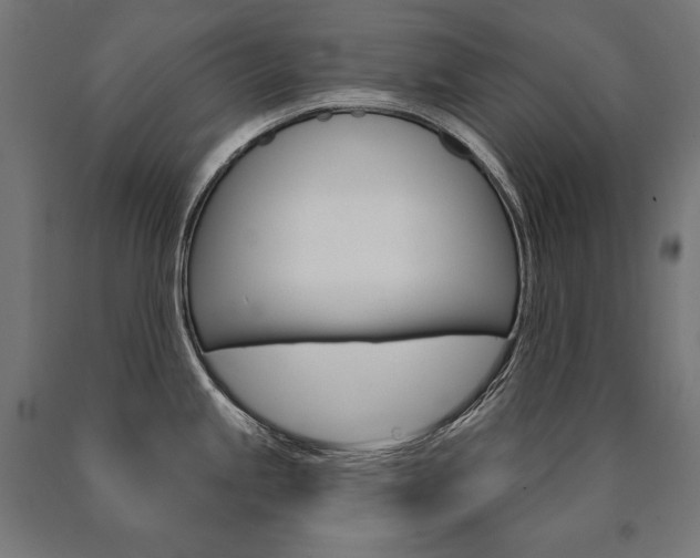 X0000091001245200708021218