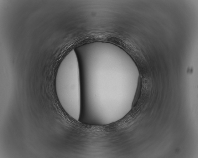 X0000091001249200708021217