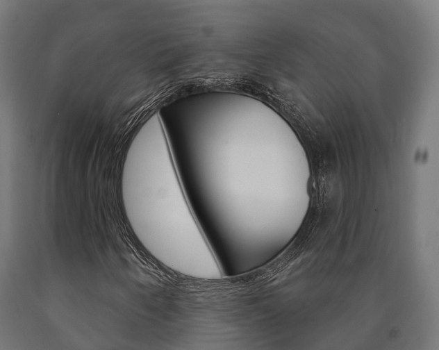X0000091001250200708021217