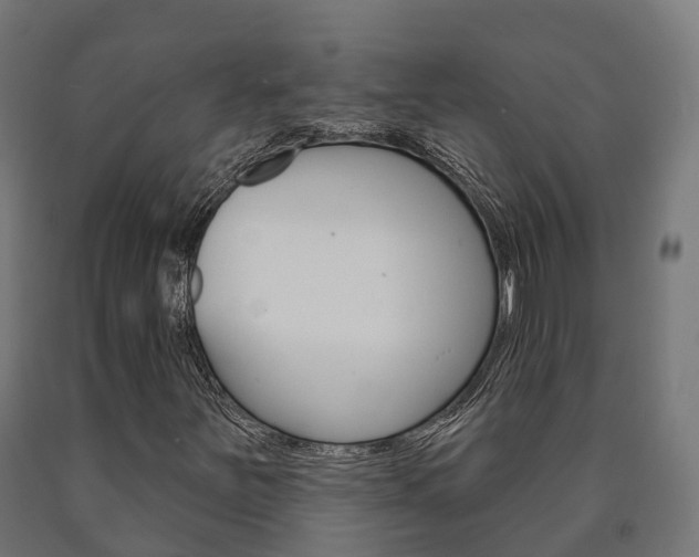 X0000091001251200708021217