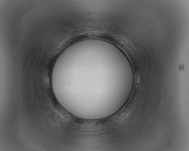 X0000091001252200708021217