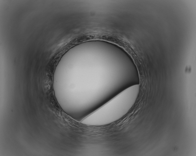 X0000091001253200708021217