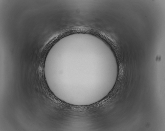 X0000091001254200708021217